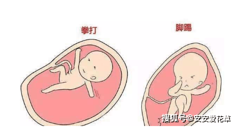 孕期子宫右旋图解图片