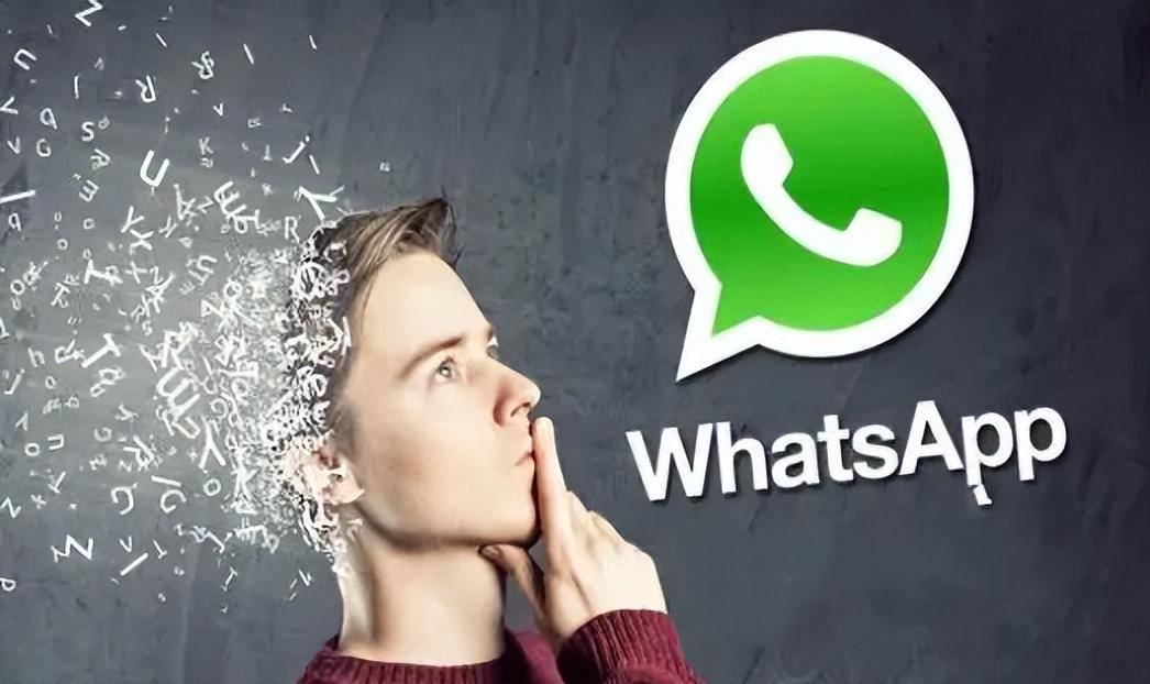WhatsApp使用教程全攻略，外贸快速上手WhatsApp看这一篇就行_好友_用户_手机号