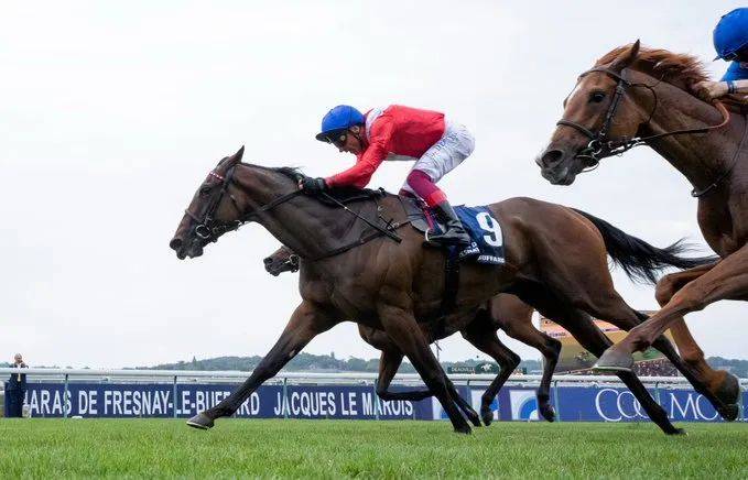 这场在法国举行的国际赛以香港赛马会之名……_锦标_赛事_拜伦