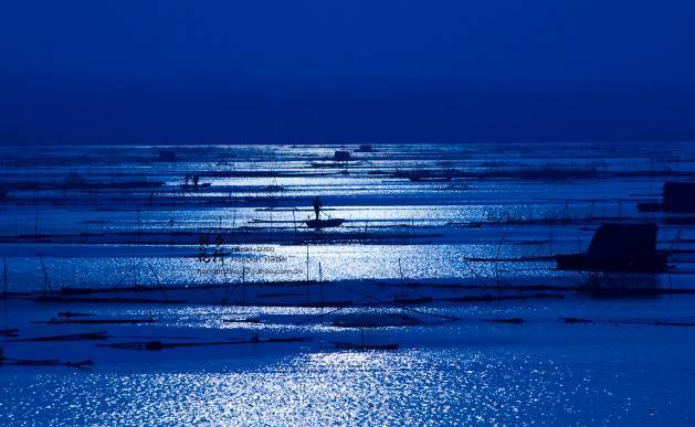 描写星星的诗句_星星的诗句_古诗中的星星