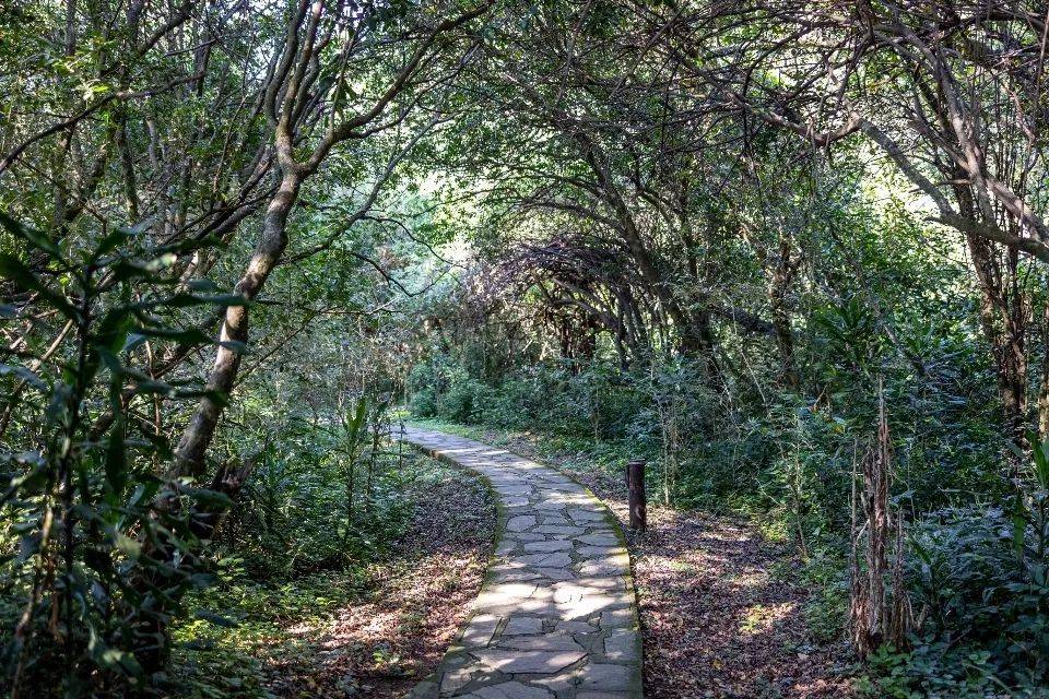 国美裁员并不是终点,拖欠家电品牌商货款是公开秘密-家电圈官网