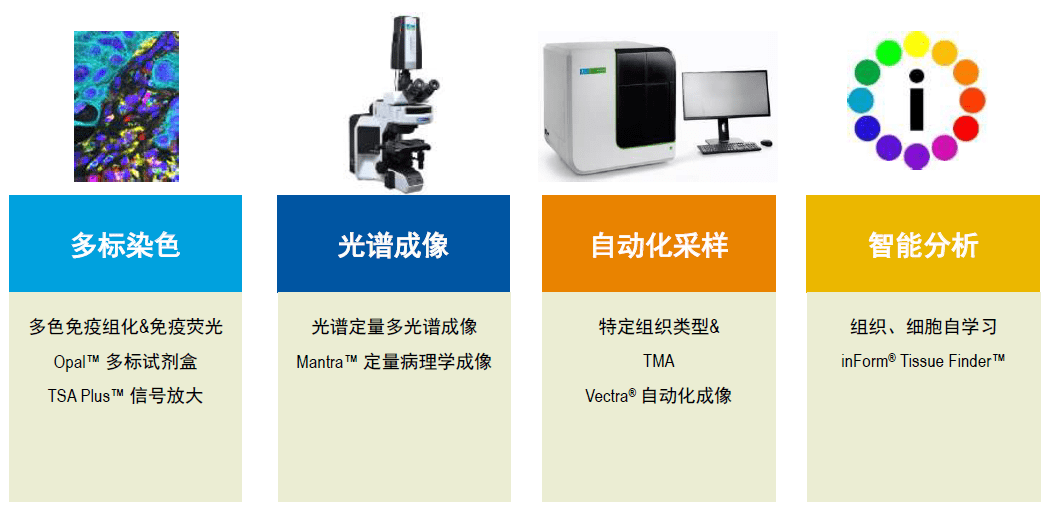 多重荧光免疫组化（mIHC）技术介绍_肿瘤_分析_成像