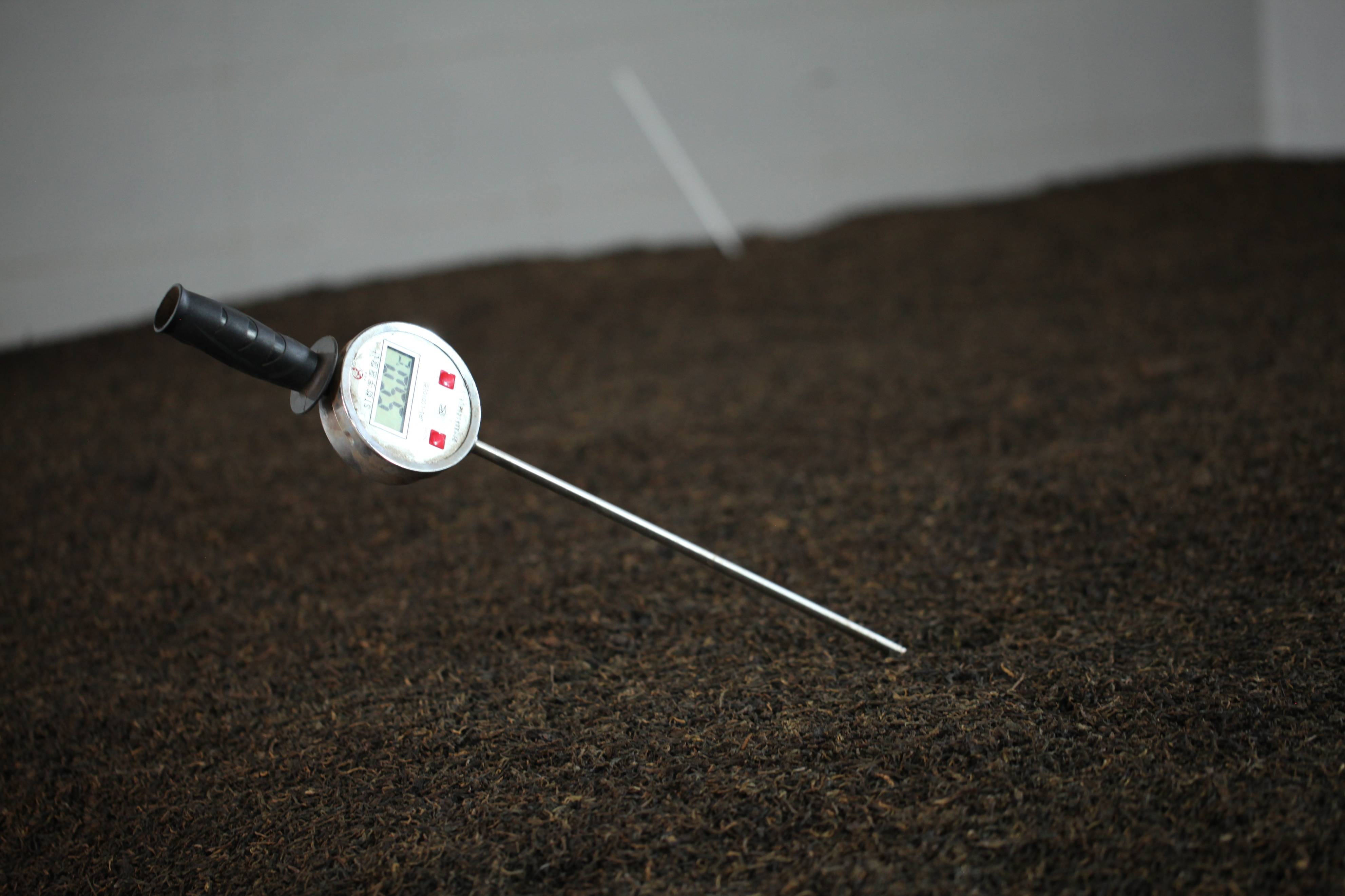 摊青-杀青-揉捻-干燥几大工序,只是熟茶在晒青毛茶后期经过渥堆发酵