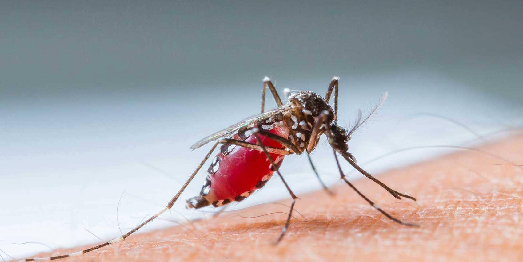 过了多久之后,红点就不见了,而有些人被蚊子叮咬之后就会肿个大包,好