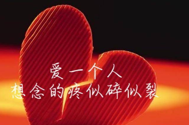 一个人的思念,一个人的孤独,你故意的疏远,让我学会了沉默,想你的时候