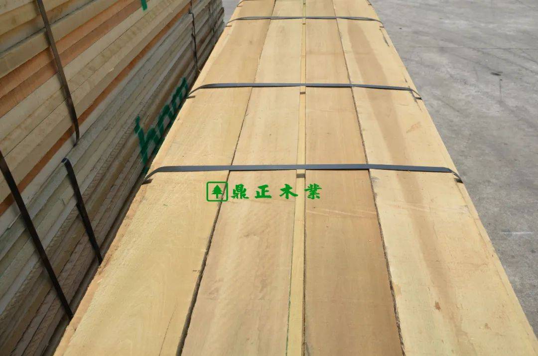 进口木材 | 白杨木就是颜色白？黄杨和白杨的真正区别在哪里？_家具_色差_美国