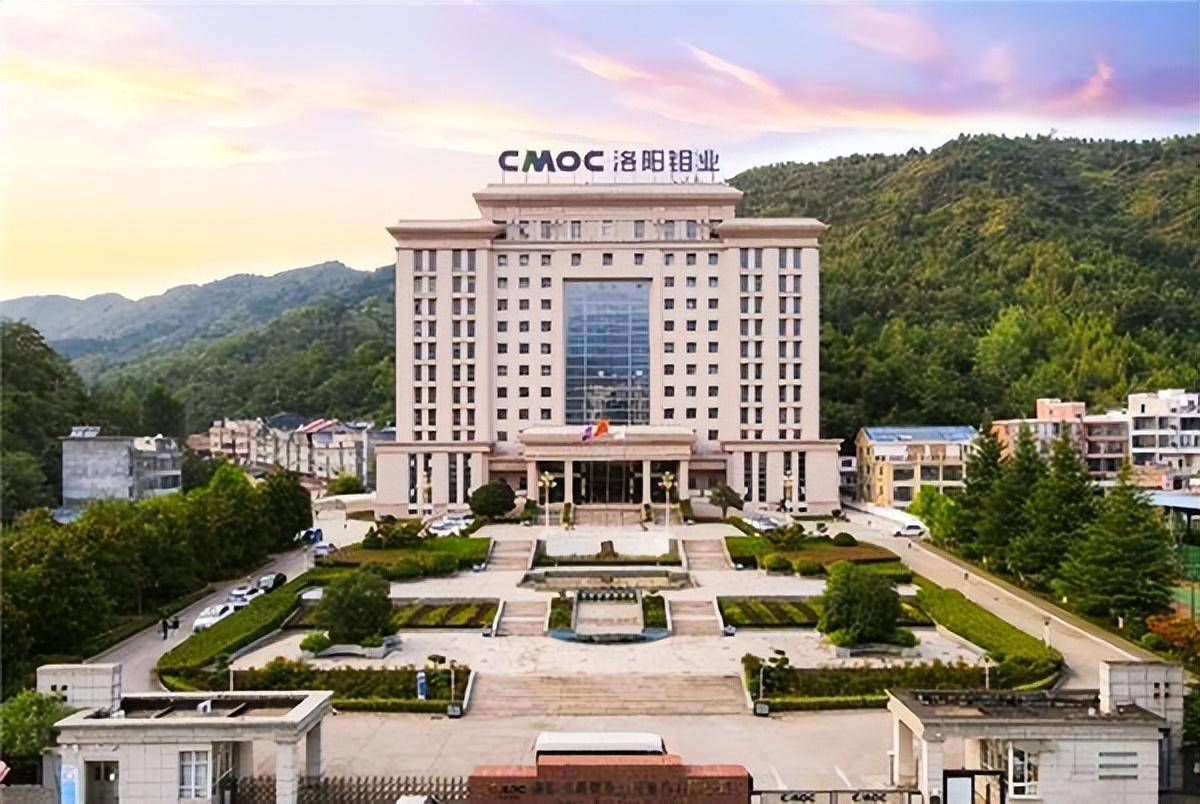 2003年,上海鸿商产业控股集团入股,企业由国营变为公私合营.