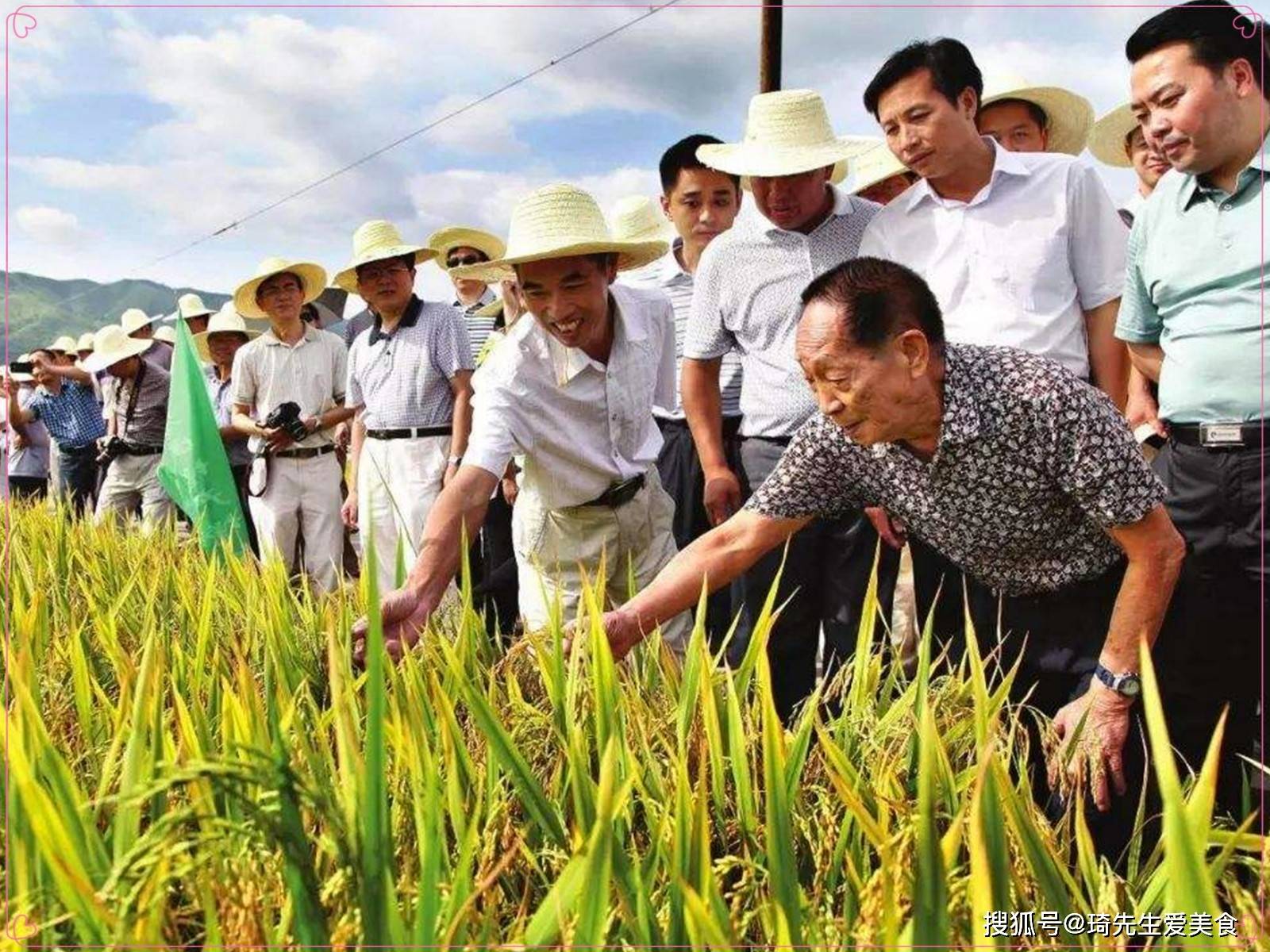 袁隆平:海水稻年增产300亿公斤!有人说不好吃?