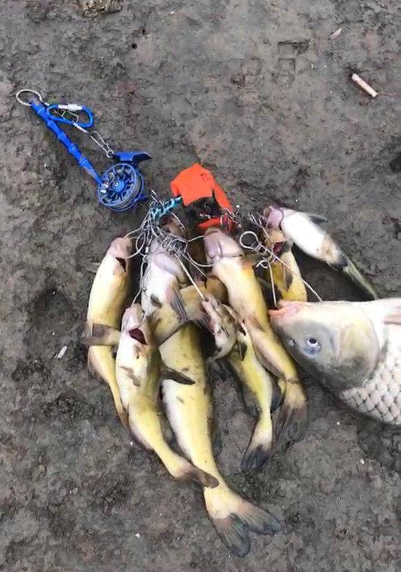 九江连抓19名锚鱼者,部分可能被判刑,锚鱼者的末日要来了?