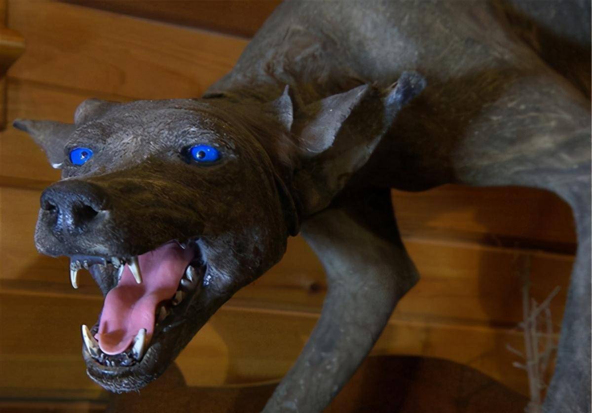 卓柏卡布拉_怪物_菲利斯·卡奈