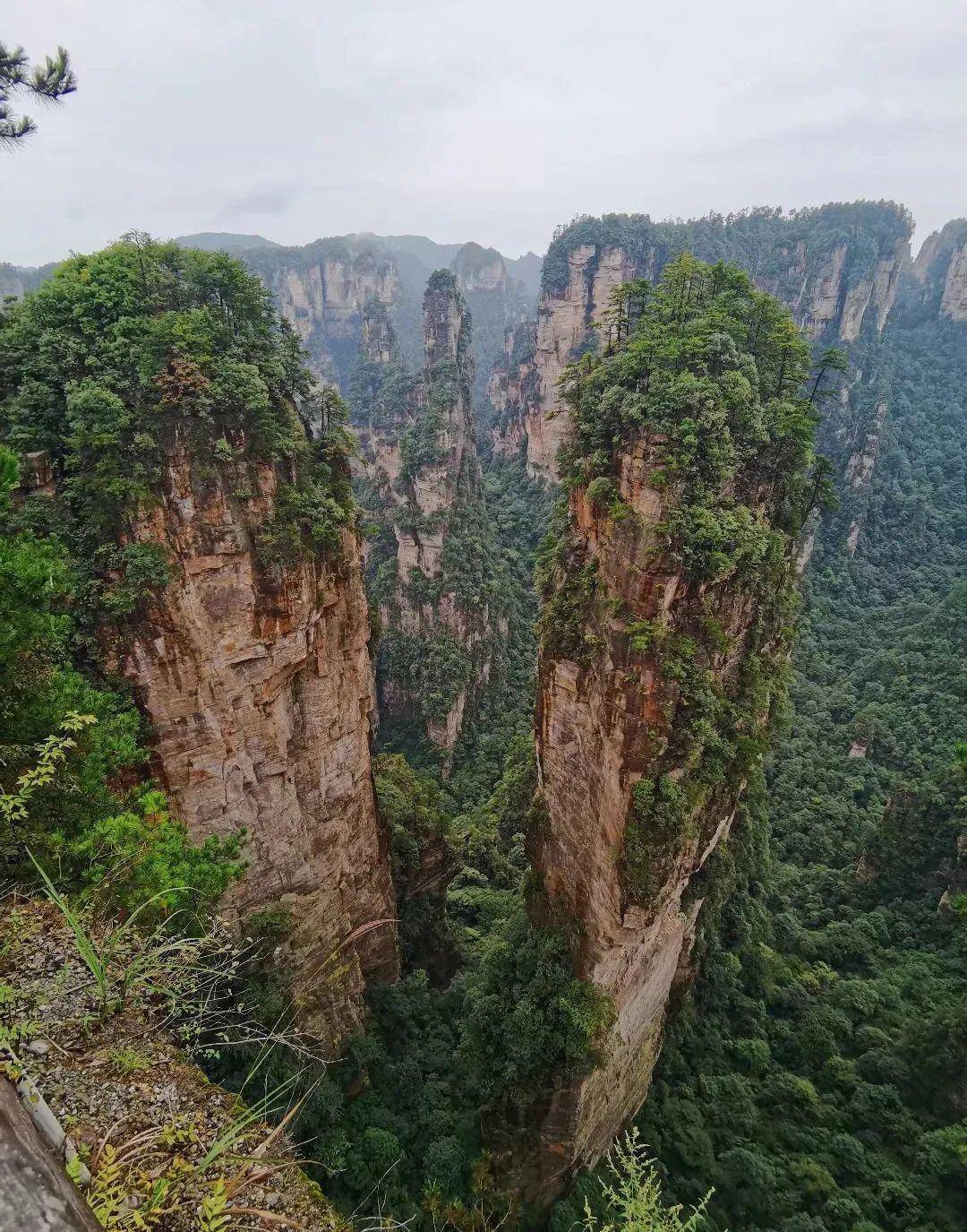 张家界-《阿凡达》潘多拉星的取景地,处处是天工鬼斧