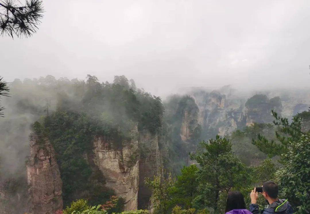 张家界《阿凡达》潘多拉星的取景地,处处是天工鬼斧