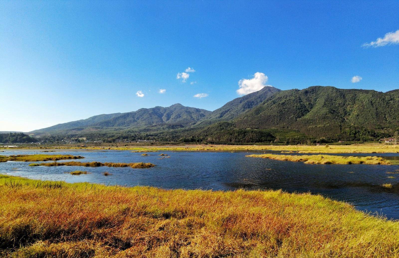 腾冲北海湿地确实奇异，水草根部交织长在一路，浮在水面好像草岛