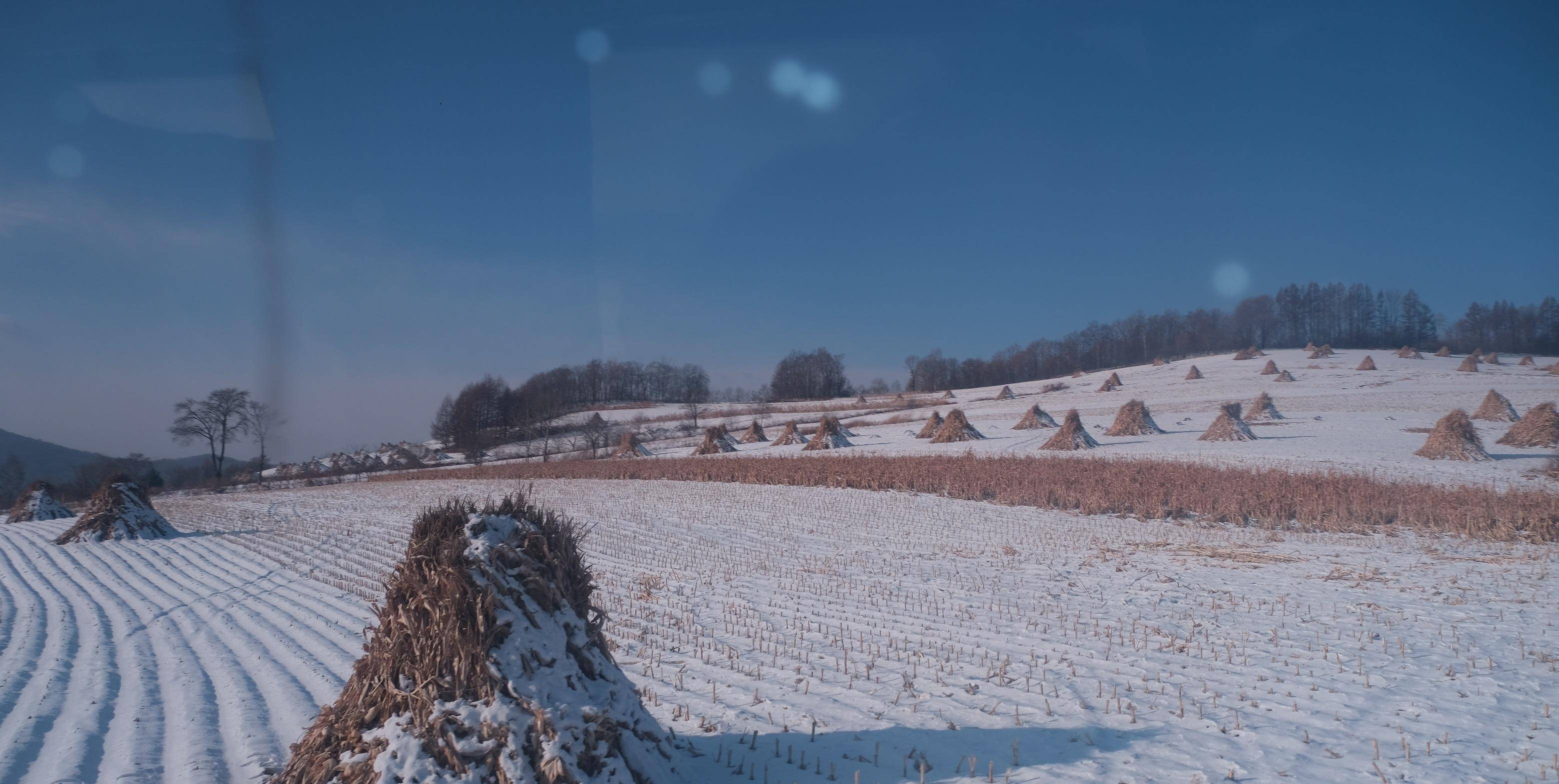 东北吉林冬天照片图片