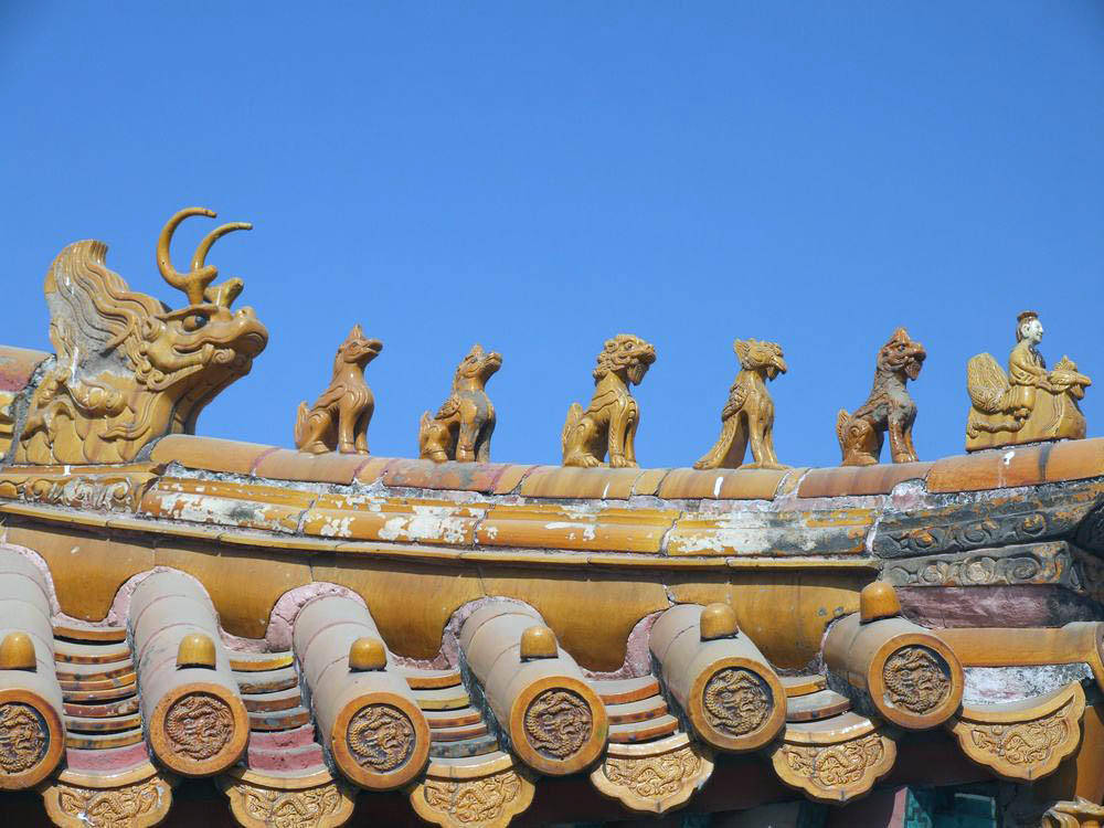 故宫存在600多年了,屋顶却很少见到鸟粪,原因大抵如此_时候_鸟类_设计