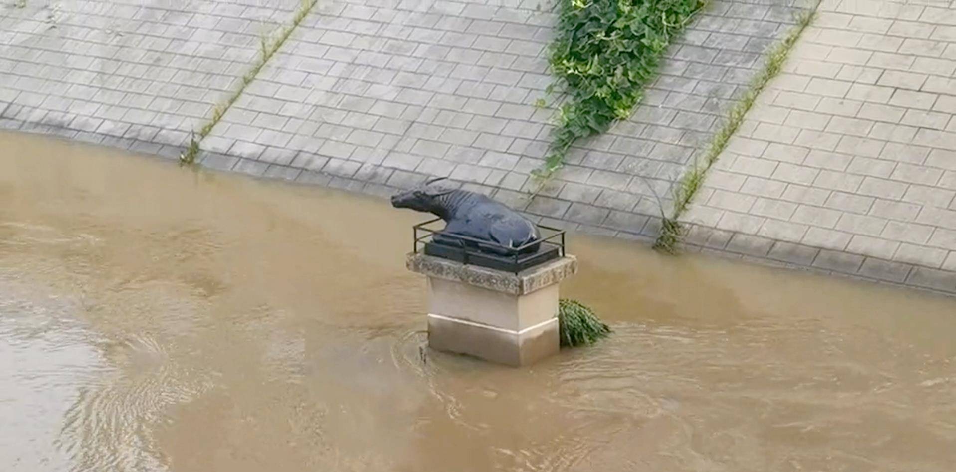 周口沙颍河有一尊铁水牛,坐镇三川,被誉为"吞洪镇潮"的神牛_水位_铁牛