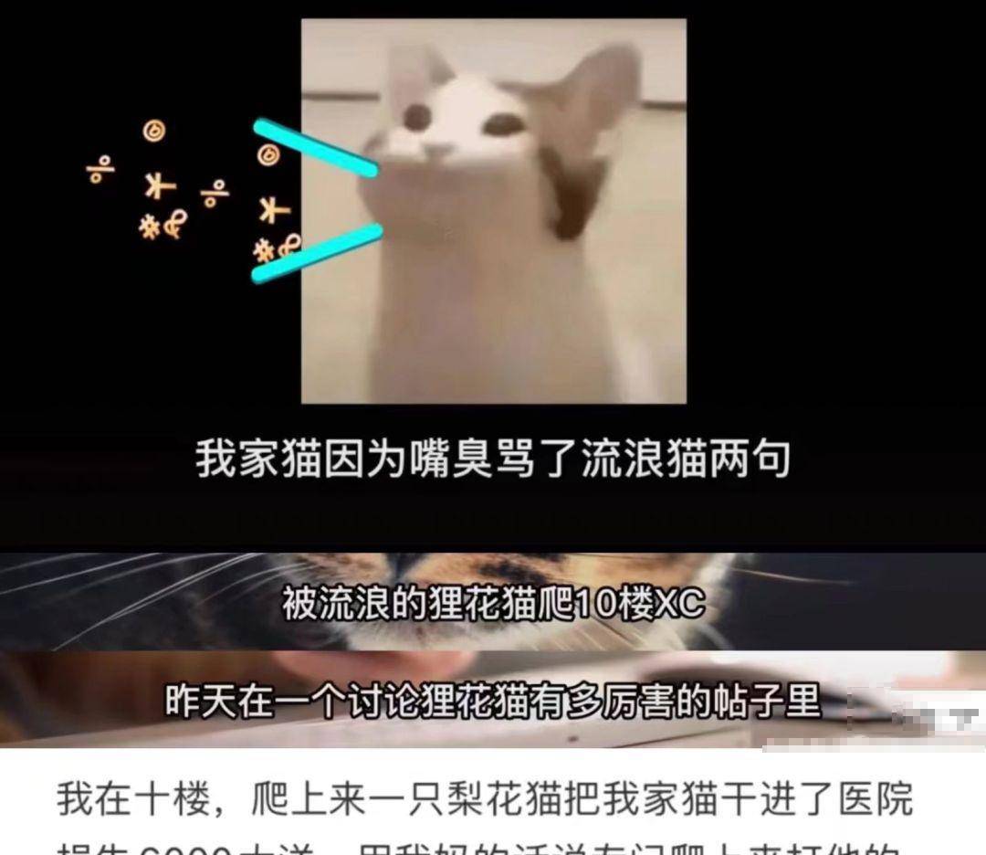 今日嘲笑话：你的骑手攻击你的皮卡