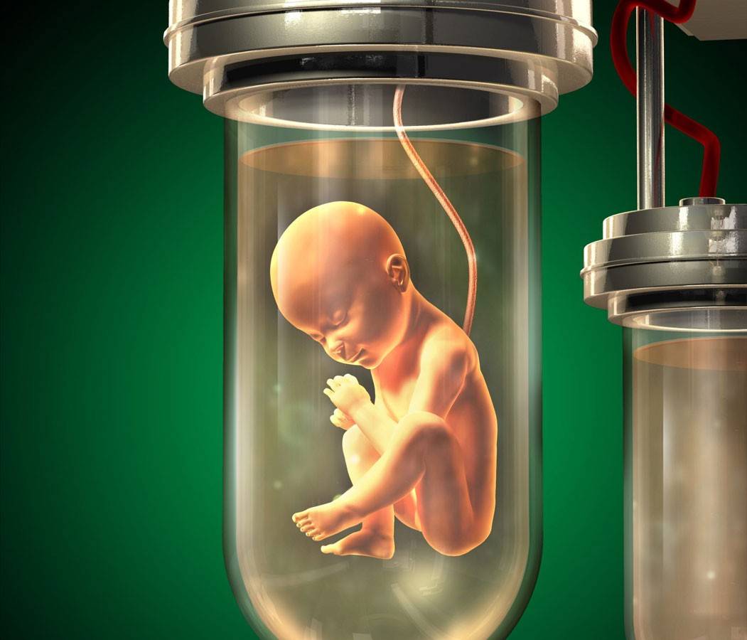 世界首个人造子宫工厂,年产3万婴儿_胎儿_问题_人类