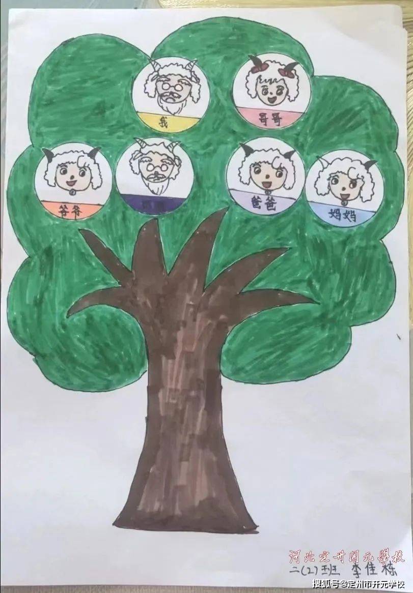 家族树怎么画好看手绘图片