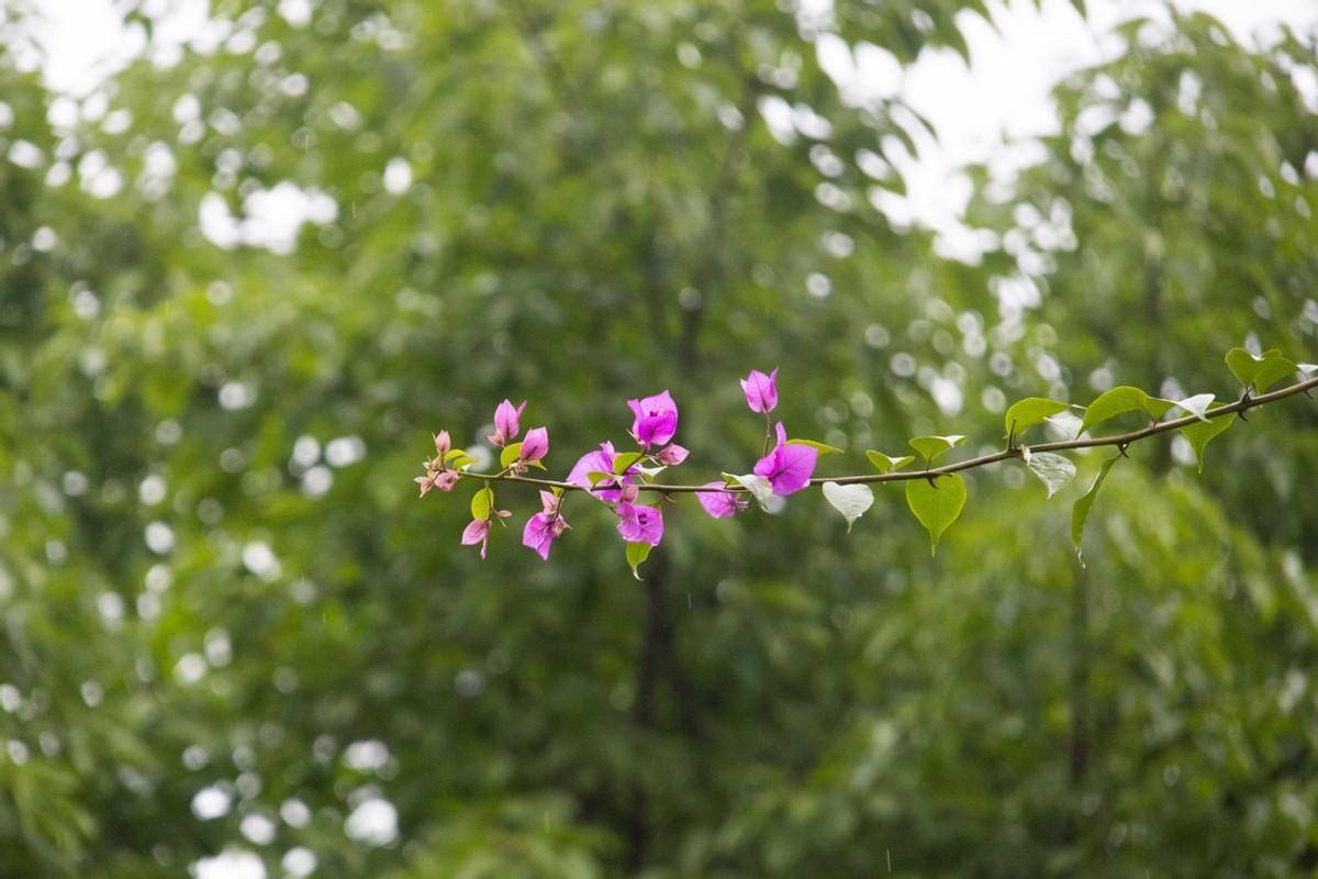 半画幅年度真香机？佳能EOS R7体验测评