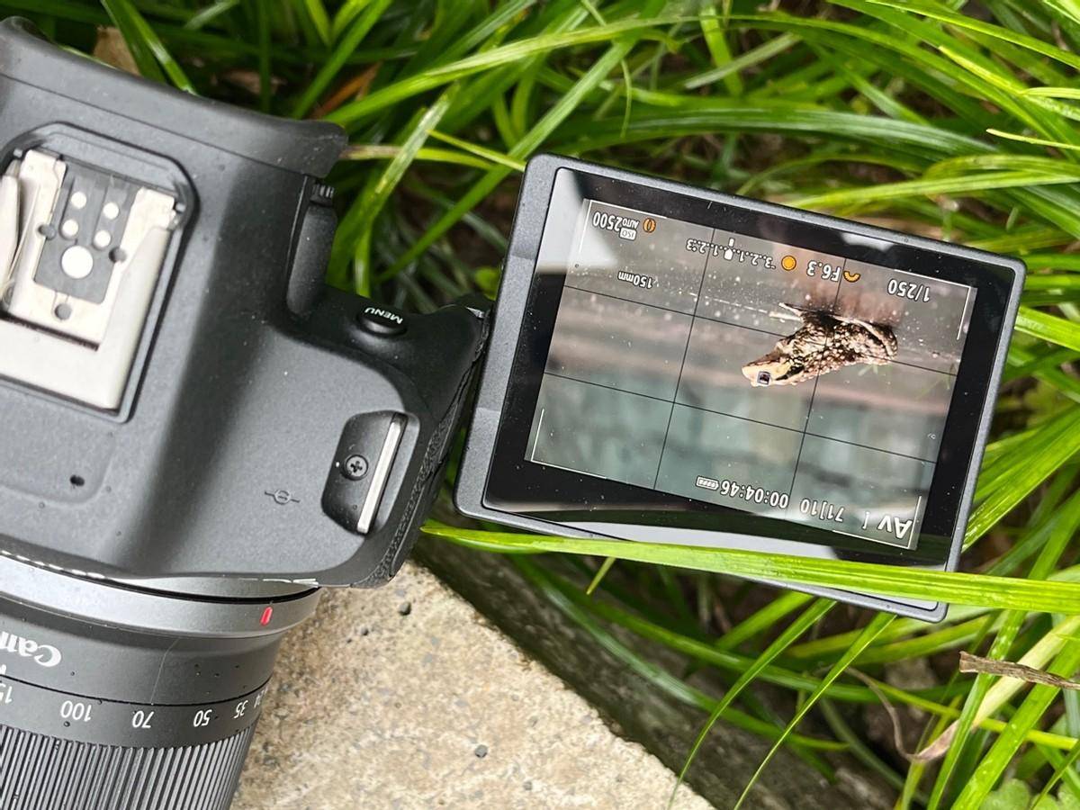 半画幅年度真香机？佳能EOS R7体验测评