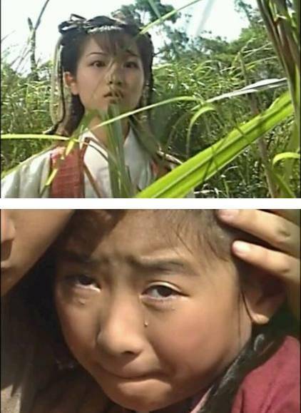 贝锦仪为掌门人周芷若辩白并非宋青书妻子而是假意