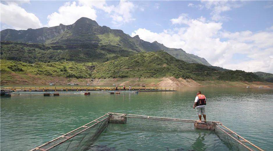 牂牁湖水怪:被称为中国最清晰的水怪视频,为何没火起来?