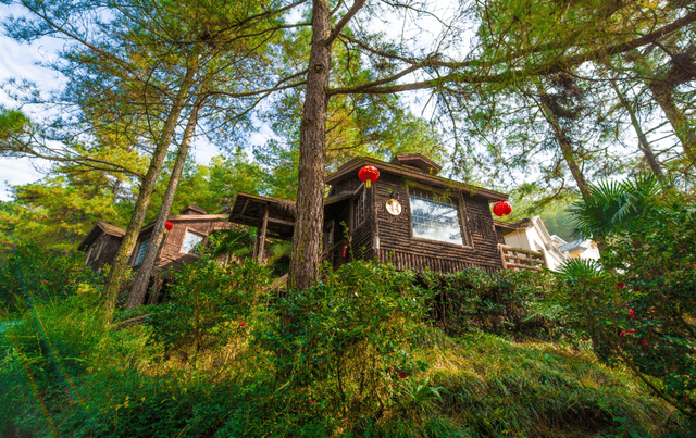 恩龙世界木屋村,皖南川藏线上的"中式园林"_景区_阳光_主题