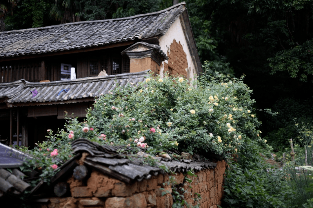 旅游胜地：电视剧《去有风的地方》拍摄地云南风景太美了！(组图)