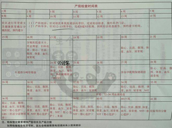 满满干货（整蛊怀孕检查结果图片大全）怀孕证明单子图片 第3张