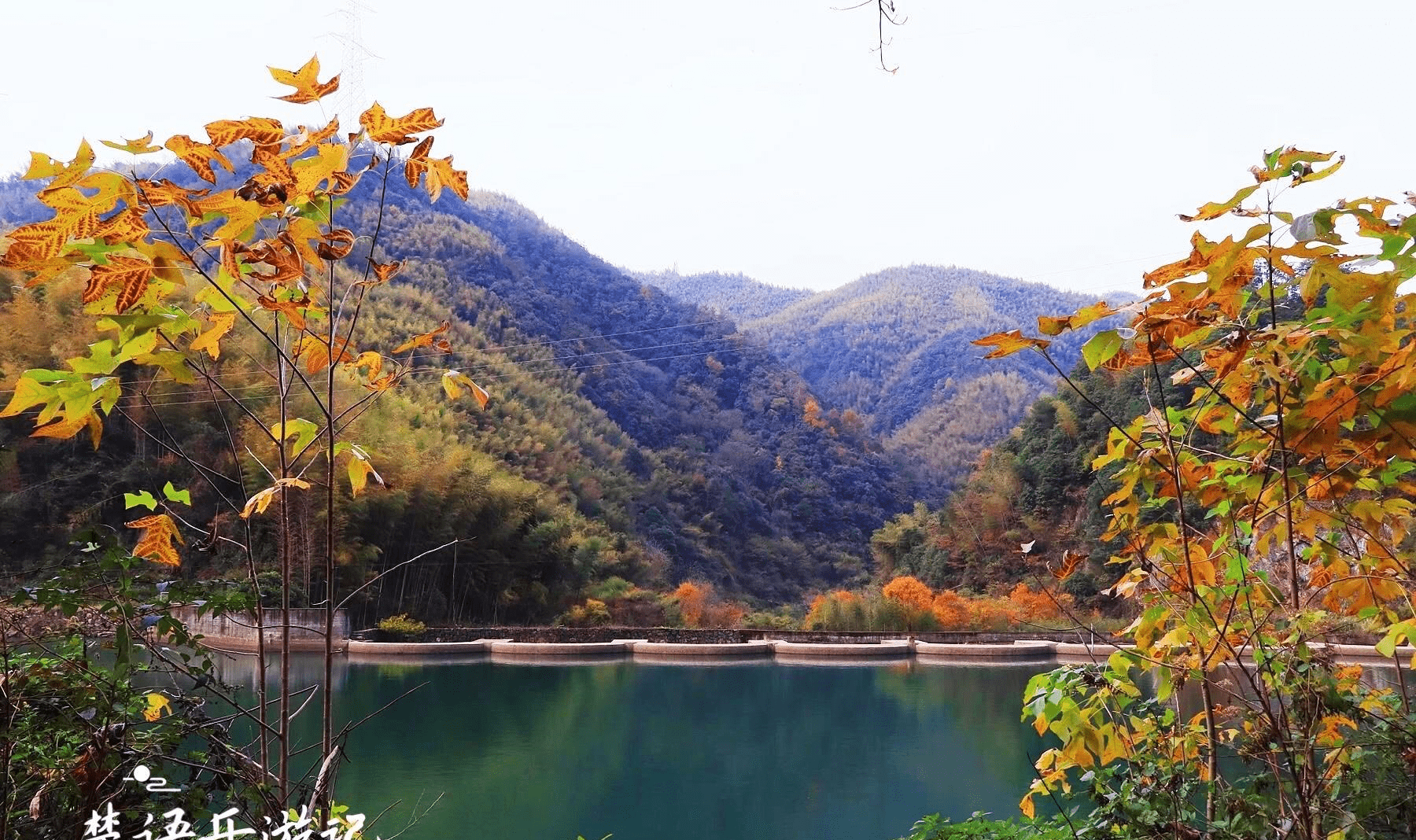 这个村子坐落在余姚市鹿亭乡的荷梁公路旁,位于余姚中村和东岗山森林