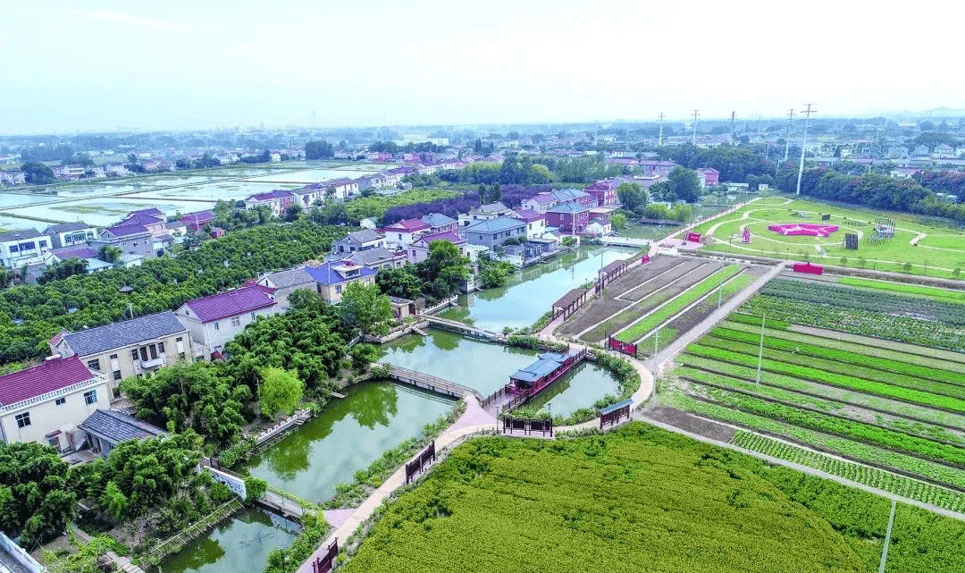 三江湾位于扬中市新坝镇新治村,人口4376人,面积约3.