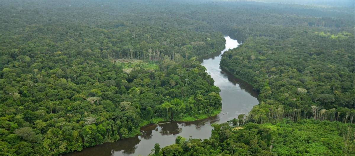 当地人都不敢下去游泳的亚马逊河,究竟有多恐怖?_河流_生活_热带雨林