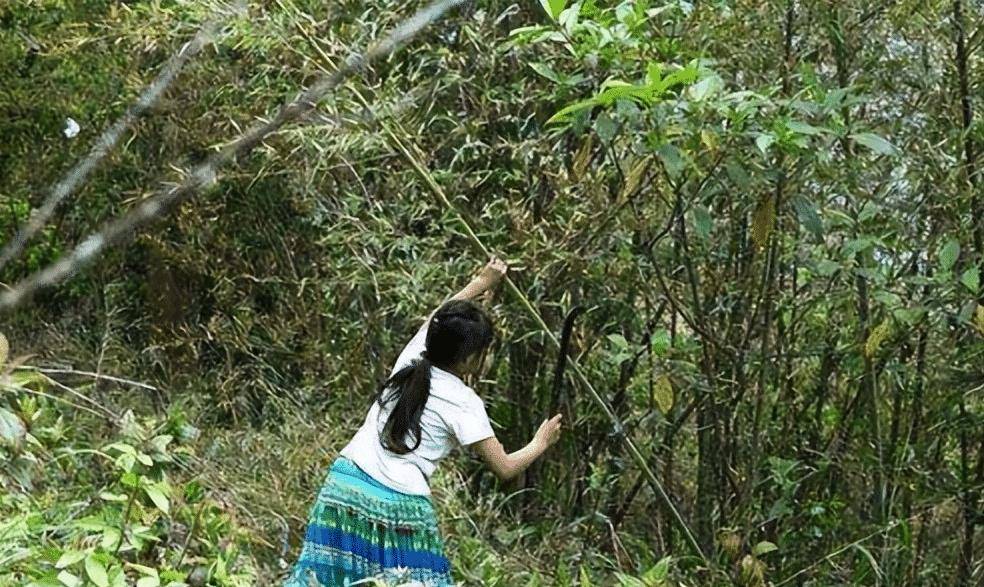 隆仙桃:变形计最清醒的女孩,11岁养活两个弟妹,每天吃剩菜剩饭_弟弟