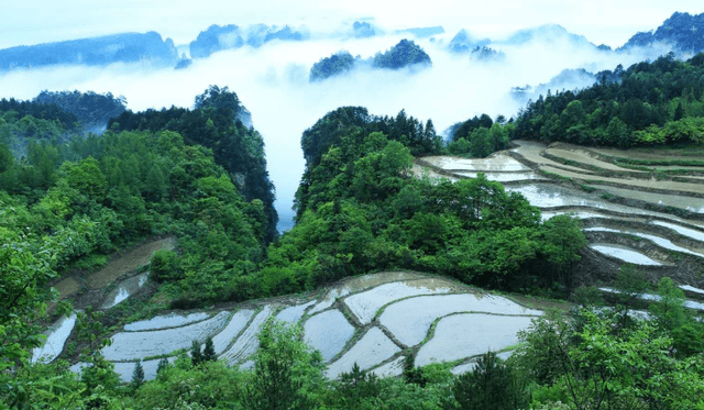 壬寅年诗词选|胡均华_湖北省_北京_中华