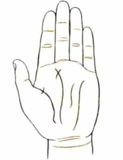 掌纹_手掌_形状