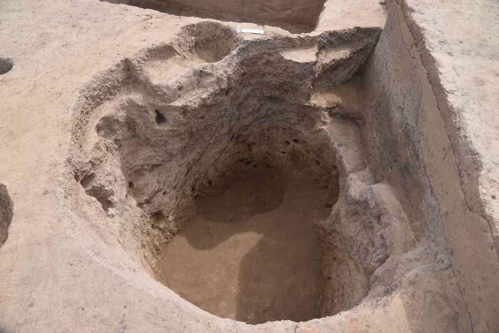 河南北阳平遗址发现距今约6000年前大型房址_研究_中期_建筑