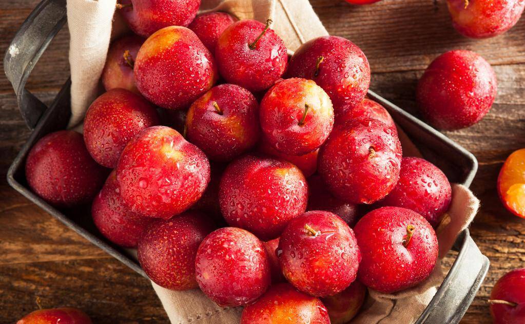 百元一斤的美国樱桃李,现已无人问津,中国消费者的味觉不容忽悠_水果