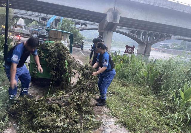 富阳湖源乡“找寻查挖”深化“五水共治”