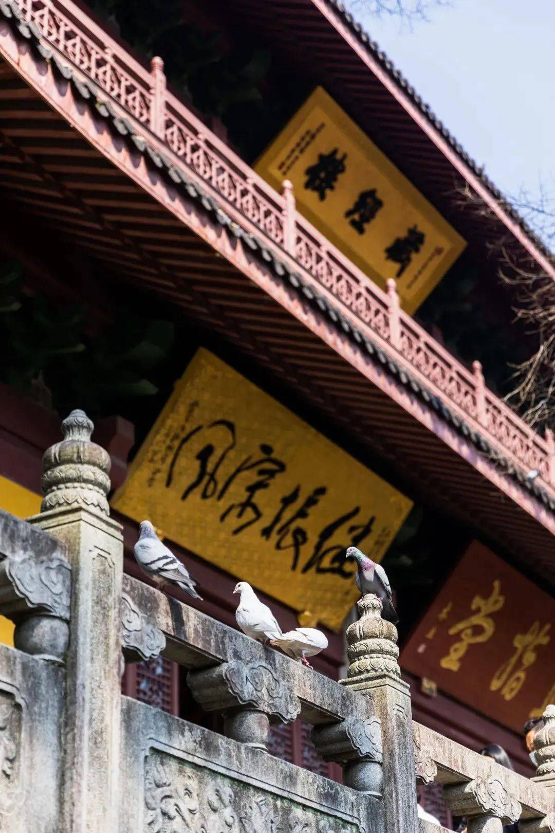 图源豆芽部落@盛还有净慈寺灵顺寺法喜寺香积寺