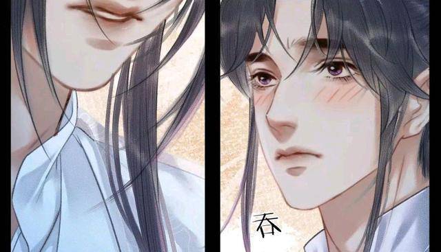 一个名场面,上一次说到墨燃进入幻境,产生幻觉,这时候楚晚宁也过来了