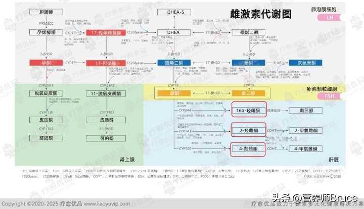 女子回应感染新冠后长出浓密的胡子，为什么会出现这种情况？