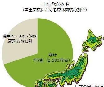 【日本的森林覆盖率接近70%】二战结束时,日本的原生林大部分被毁