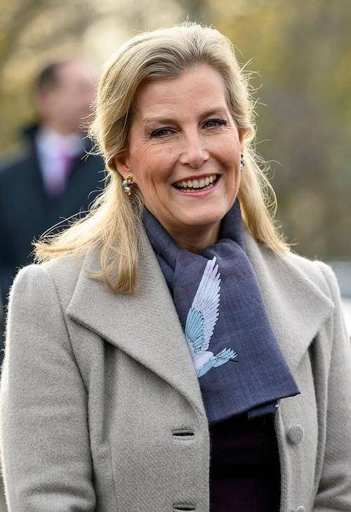 苏菲王妃与王子逛动物园,灰色大衣配绿色裤子,简单穿出高级感_活动