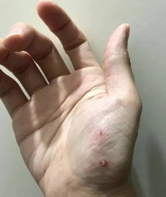 他和他的汪星战队来了_高祥正_训练基地_警犬