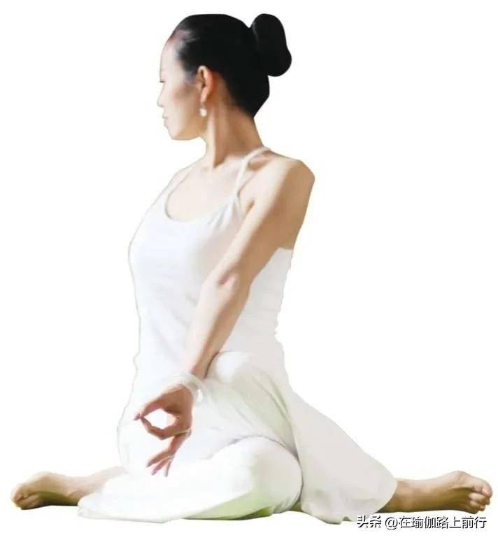 阴瑜伽-鞋带式_膝盖_手臂_臀部