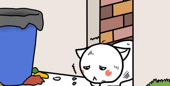原创
            流浪猫、受虐猫救助指南：如何判断、一些原理和实用方法1