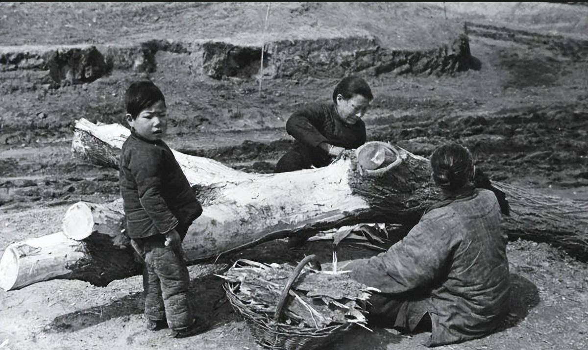 1959年开始,"三年自然灾害"蔓延开来,饥荒遍布全国,上海,江苏等地更是