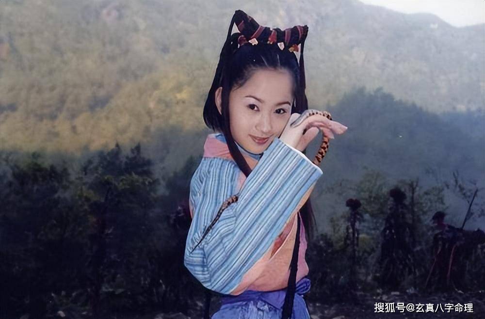 天龙后传:有八个女人为虚竹生下二十个儿子,王语嫣为虚竹生六子