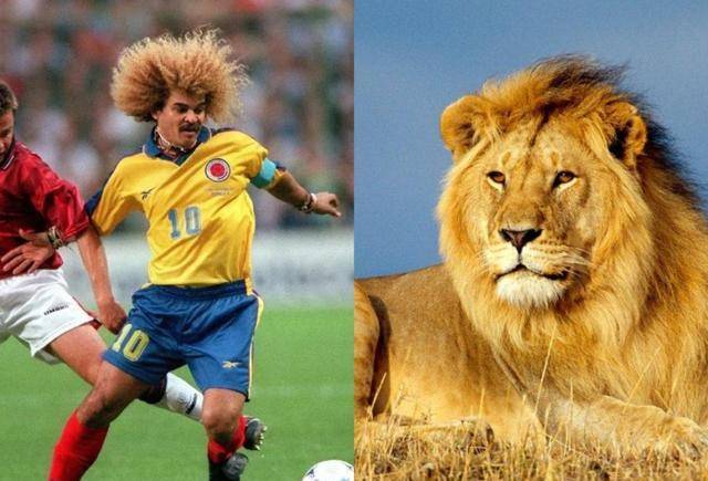 6,"金毛狮王"巴尔德拉马布特拉格诺身材不高,但拥有敏锐的洞察力和落